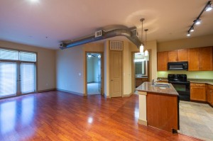 Two Bedroom Apartments in Houston, Texas - Apartment Living Room & Kitchen